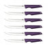 Set cutite pentru friptura (6 piese) Purple Eclipse Collection BerlingerHaus BH 2789